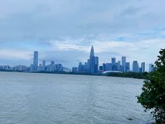 -深圳湾公园(南山区)