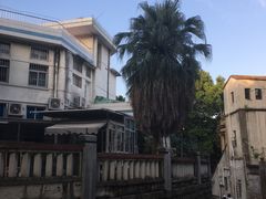 -厦门市日光幼儿园