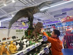 -TOYSRUS玩具反斗城(上海万象城店)