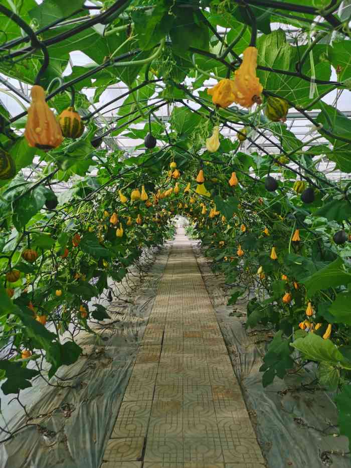 树童部落-"【印象】色调小清新 | 项目益智门票不."-大众点评移动版