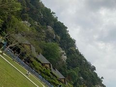 -野象谷景区