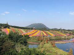 -东部华侨城