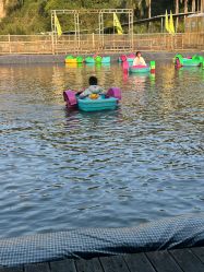 -阿菠萝小猪农场·萌宠乐园·亲子游·研学