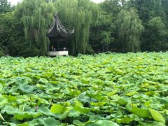 -留荫庐旅馆(南浔古镇百间楼店)