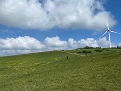 -塞罕坝国家级自然保护区