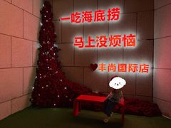 -海底捞火锅(丰尚国际广场店)