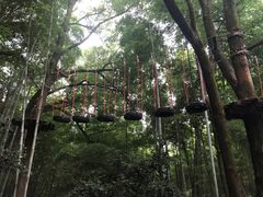-石燕湖生态旅游景区