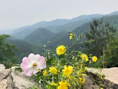-木兰云雾山