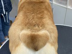 -萌兽医馆·宠物医院·猫骨科(创景店)