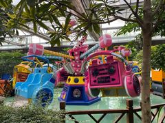 -南宫五洲植物乐园