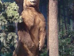 -陕西自然博物馆