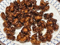 -木柴豆腐·活海鲜·鲁菜