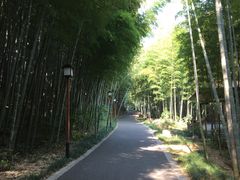-穹窿山景区