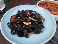 爽口东北黑木耳-见山书院