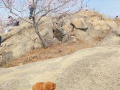 -白水寺森林公园
