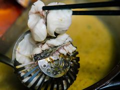 -凤凰山斑鱼馆(恭城店)