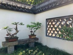 -上海醉白池公园