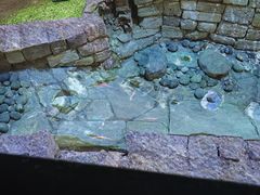 -南越王博物院(王宫展区)