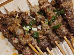 -山野的朋友露营炭火烤肉