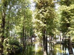 android_upload_pic-红山村