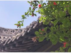 -长春观