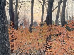 -长春公园(普阳街道)