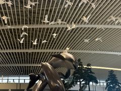 -青岛胶东国际机场