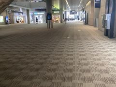-上海浦东国际机场-T2航站楼