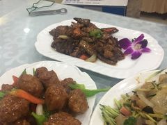 -宝发园名菜馆