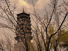 -长春北湖公园