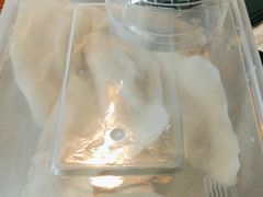 -北方家宴(番禺永旺店)