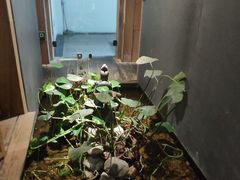 -邈墨茶馆(凤起路店)