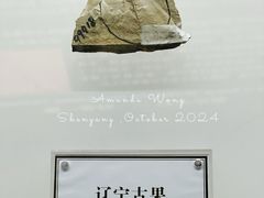 景点-辽宁古生物博物馆