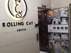 -滚猫咖啡·猫咖·猫友好撸猫(未来城店)