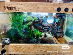 -Rabbit Cafe私房西餐甜点咖啡(栖霞路店)