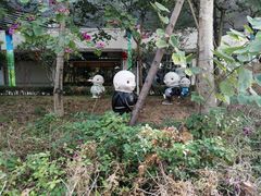 -漳州华阳体育馆