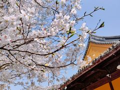 -龙华寺