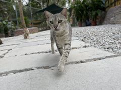 -楠溪江风景名胜区