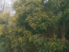 -白鹭湾湿地公园