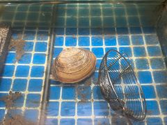 -烧货·活海鲜炭烧(湖滨商业街店)