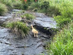 -萍乡武功山风景名胜区