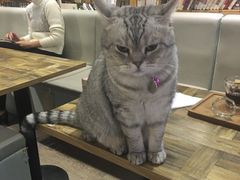 -小时光咖啡馆(开森度假森林店)
