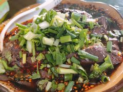 -小杨翘脚牛肉