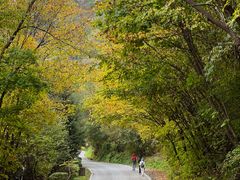 -三块石国家森林公园