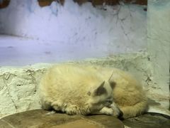 -大连圣亚海洋世界