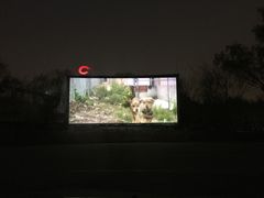 -枫花园汽车电影院(朝阳公园店)