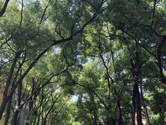 -四川大学(望江校区)