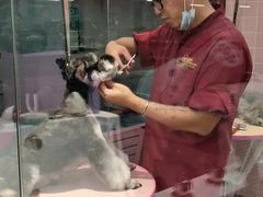 -FAELING PETS美天灵宠物(富力广场店)