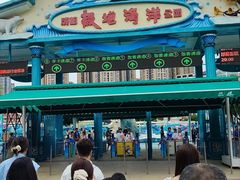 -海合安成都极地海洋公园