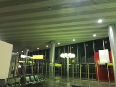 -谢列梅捷沃国际机场